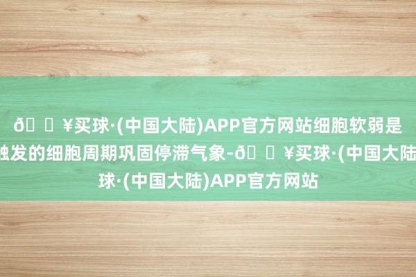 🔥买球·(中国大陆)APP官方网站细胞软弱是由各式应激源触发的细胞周期巩固停滞气象-🔥买球·(中国大陆)APP官方网站